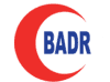 Badr Al Samaa logo